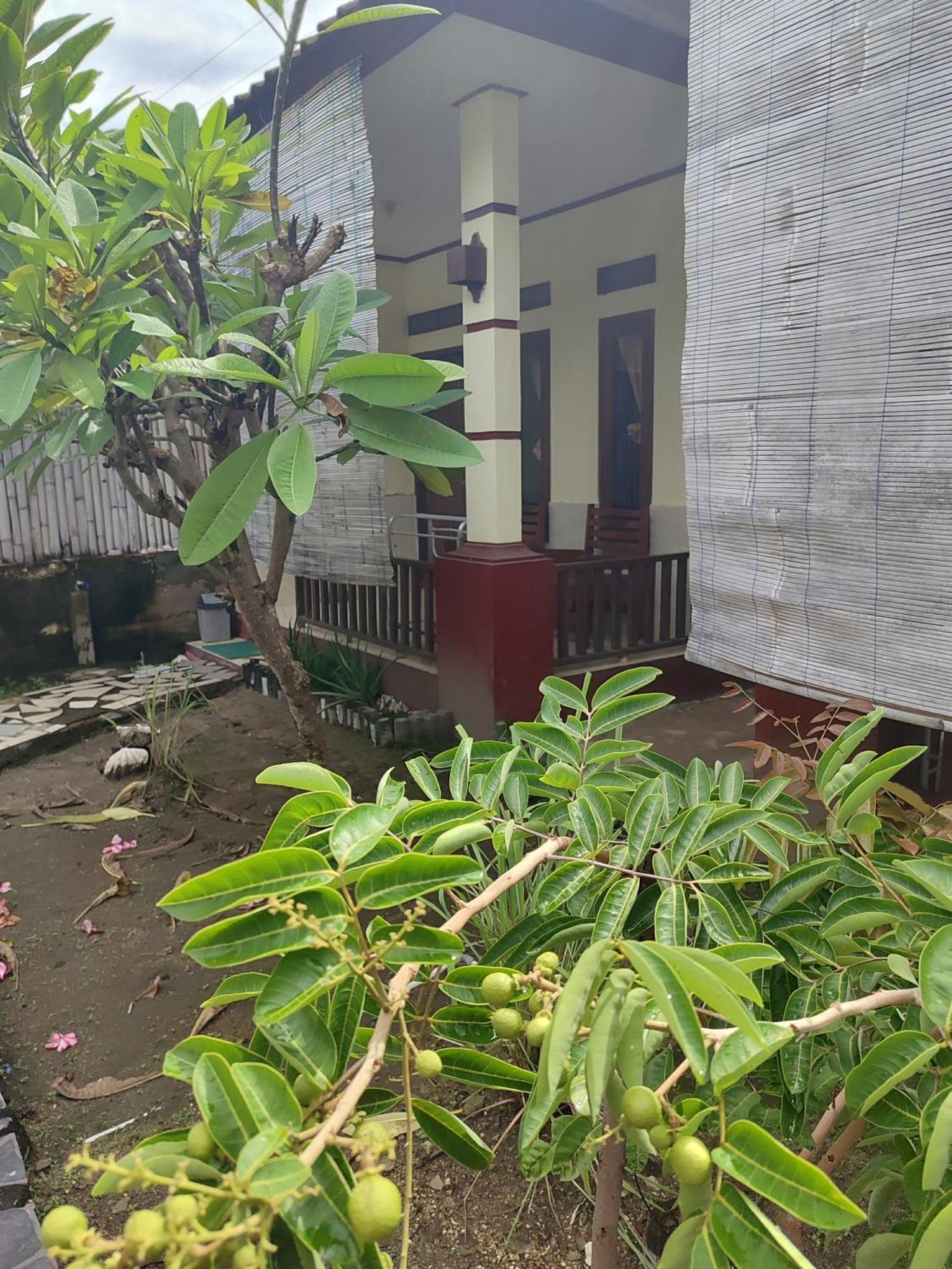 Family Bungalow 吉利美诺 外观 照片